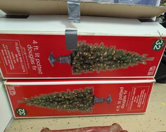 4 ft lit Potted Douglas firs