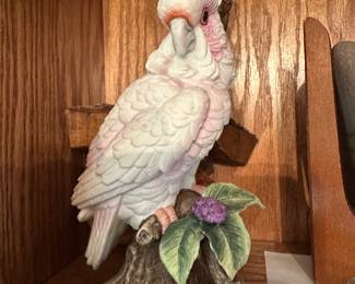 cockatoo Made in Japan by Andrea by Sadek