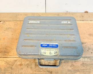 119 PelouzeHeavyDutyUtilityScale