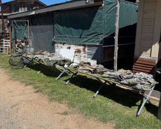 1310 Wigglebutt General Store