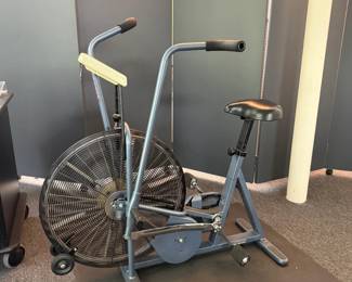 schwinn bike airdyne comp