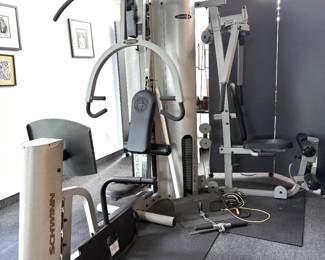 schwinn series 2 8400s multi gym