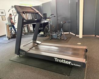 trotter treadmill 