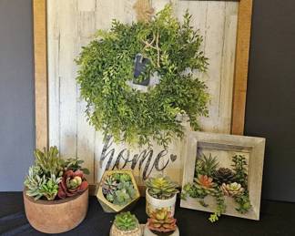 Succulent Decor