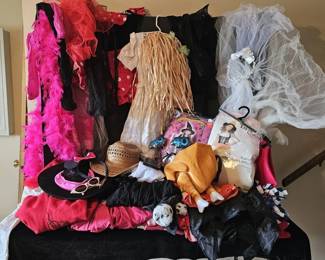 Mystery Lot of Kids Halloween Costumes