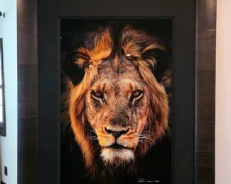 Peter Lik "Pride"