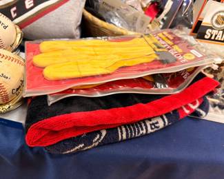 Baseball gloves scarf signed balls sports lot
