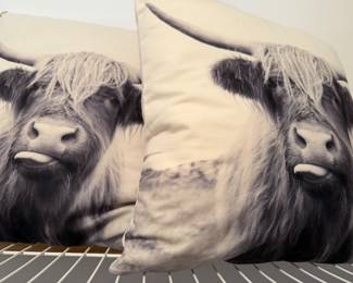 throw pillows