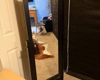 This is a Lori Greiner black freestanding full-length mirror