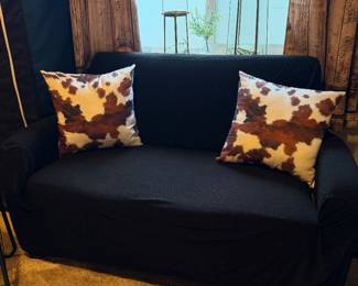 sleeper sofa