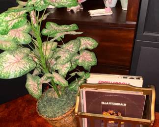 Silk plant, magazine holders