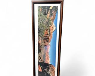 Lot 582 Framed Panoramic Landscape Poster Of Zion National Park In Utah