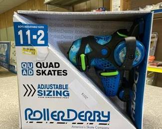 Roller Derby Sport Kids' Roller Skate - Dinosaur 