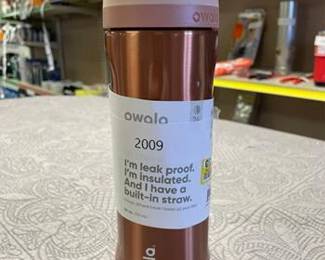 Owala 24oz FreeSip Stainless Steel Water Bottle, In Good Company
