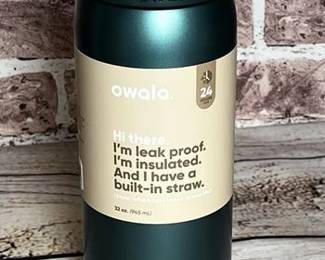 Owala Stainless Steel FreeSip Bottles 32 Oz Holiday 2025 Wintergreen Metallic