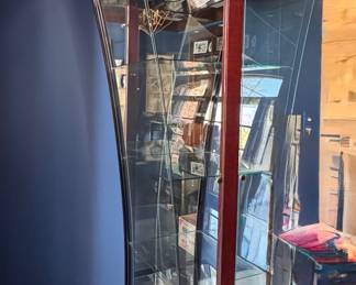 Modern Mid-Century Curio Cabinet with Interior Lighting. Measures 40" x 21" W x 81" H. Photo 2 of 4.