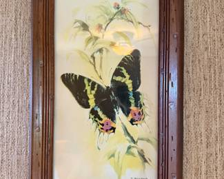 Vintage butterfly art