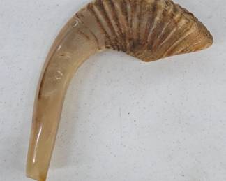 Natural Ram Horn Shofar Instrument