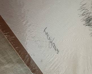 Southern Snow Limited Edition Print by Louis Jones third image