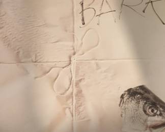 Jefferson Airplane Bark Vinyl Record Album