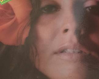 Maria Muldaur Waitress in a Donut Shop Vinyl Record