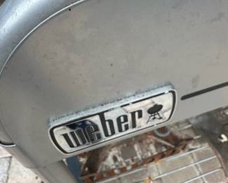 Weber Performer Charcoal Grill second image