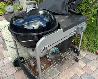Weber Performer Charcoal Grill