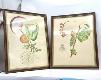 (2) MA Made Pencil Drawings