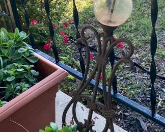 Real Plant w/ Vintage Planter