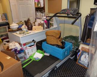 Loaded Basement, Treadmill, Desk, Bric-A-Brac