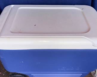 Blue Igloo Cooler