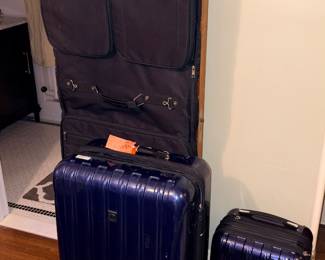 Delsey Paris Helium Aero Hardside Expandable Spinner Luggage Set 