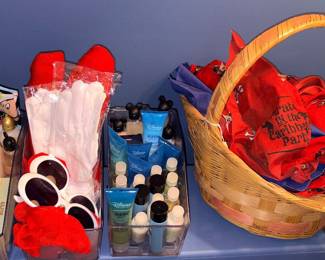 Disney Tokyo, Etc Memorabilia!