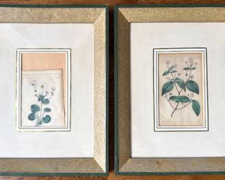Set 2 Antique (1795) Hand Colored Botanical Book Plate Etchings Lot #: 156