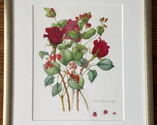 2007 Original Color Pencil Botantical Drawing Of Flowers & Lady Bugs Lot #: 29