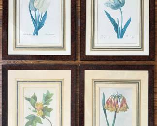 Pierre-Joseph Redout (B1759 Belgium) Set Of 4 Vintage Hand Colored Botanical Etchings Lot #: 155