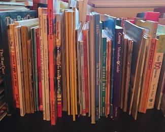 Assorted Collection of Children's Books and Various Hardcovers
