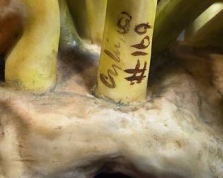 Cybis Porcelain Figurine of Flowers in Bloom