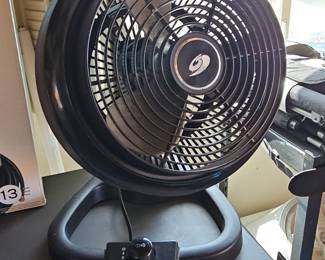 Bionaire Oscillating Fan