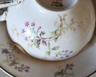Theodore Haviland Limoges Porcelain Teacup and Saucer - Rosalinde Pattern