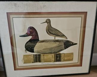 Decoys Redhead and Plover Framed Print