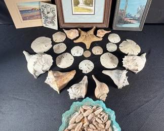 Beachy Sea shell Decor