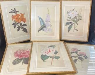 Set Of 6 Framed Numbered Floral Prints
