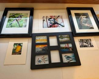 Birds More by David Coalburn