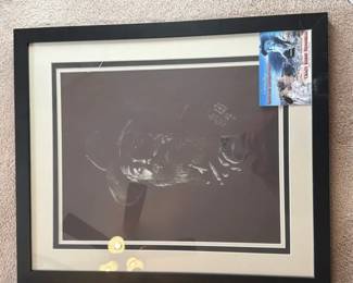 Korczak Ziolowski Pencil Art By David CoalBurn