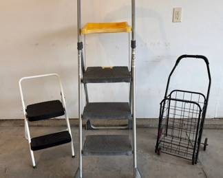 Three Step Ladders More