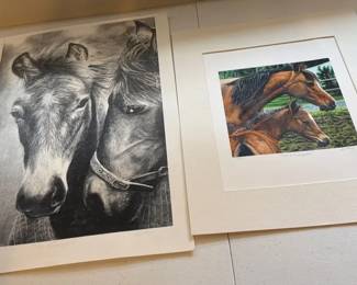 Signed Horse Prints by David Coalburn