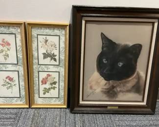 Munchkin Siamese Cat Picture More