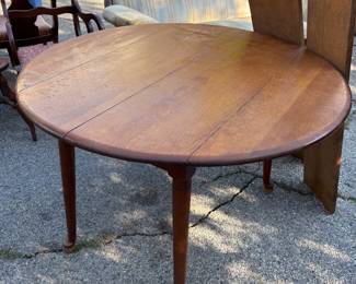 Old English dropleaf