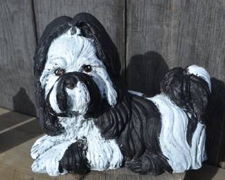 ycc dog shih tzu